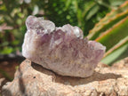 Natural Rare Amethyst Asylum Quartz Clusters x 20 From Luena, Congo