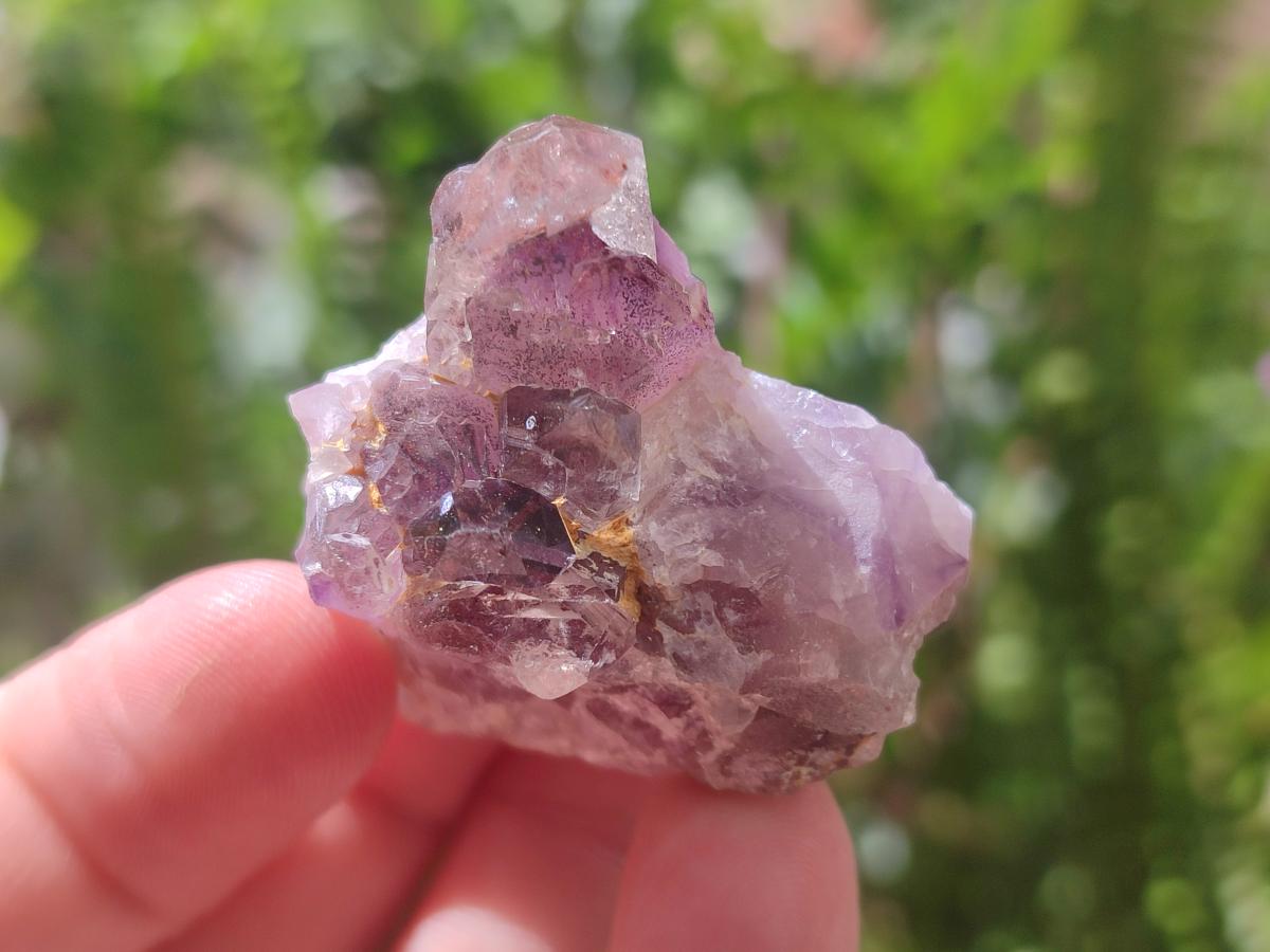 Natural Rare Amethyst Asylum Quartz Clusters x 20 From Luena, Congo