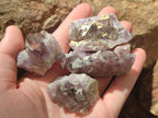 Natural Rare Amethyst Asylum Quartz Clusters x 20 From Luena, Congo