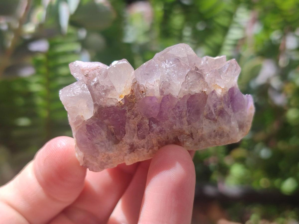 Natural Rare Amethyst Asylum Quartz Clusters x 20 From Luena, Congo