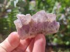 Natural Rare Amethyst Asylum Quartz Clusters x 20 From Luena, Congo