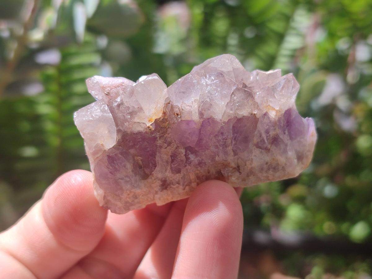 Natural Rare Amethyst Asylum Quartz Clusters x 20 From Luena, Congo