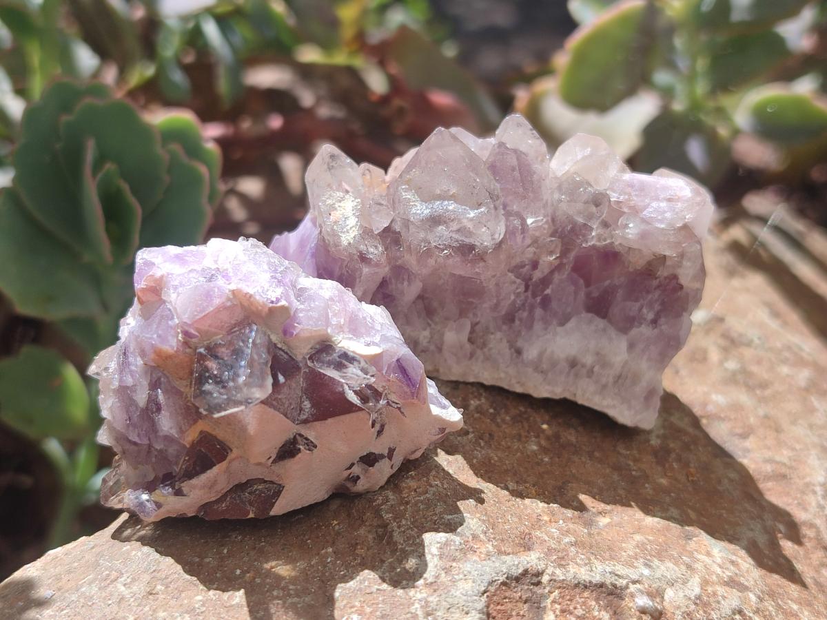 Natural Rare Amethyst Asylum Quartz Clusters x 20 From Luena, Congo