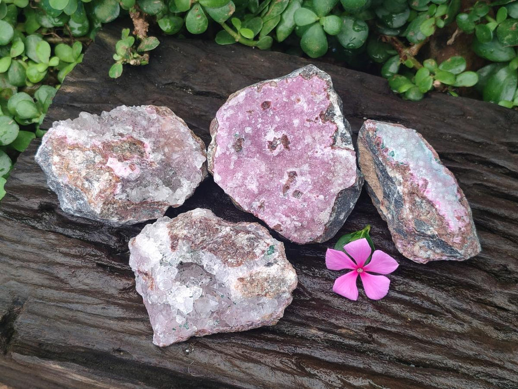 Natural Salrose Cobaltion Dolomite Specimens with Malachite x 4 From Kakanda, Congo