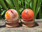 Polished Carnelian Agate Gemstone Spheres x 6 From Madagascar
