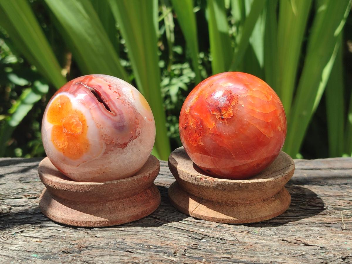 Polished Carnelian Agate Gemstone Spheres x 6 From Madagascar