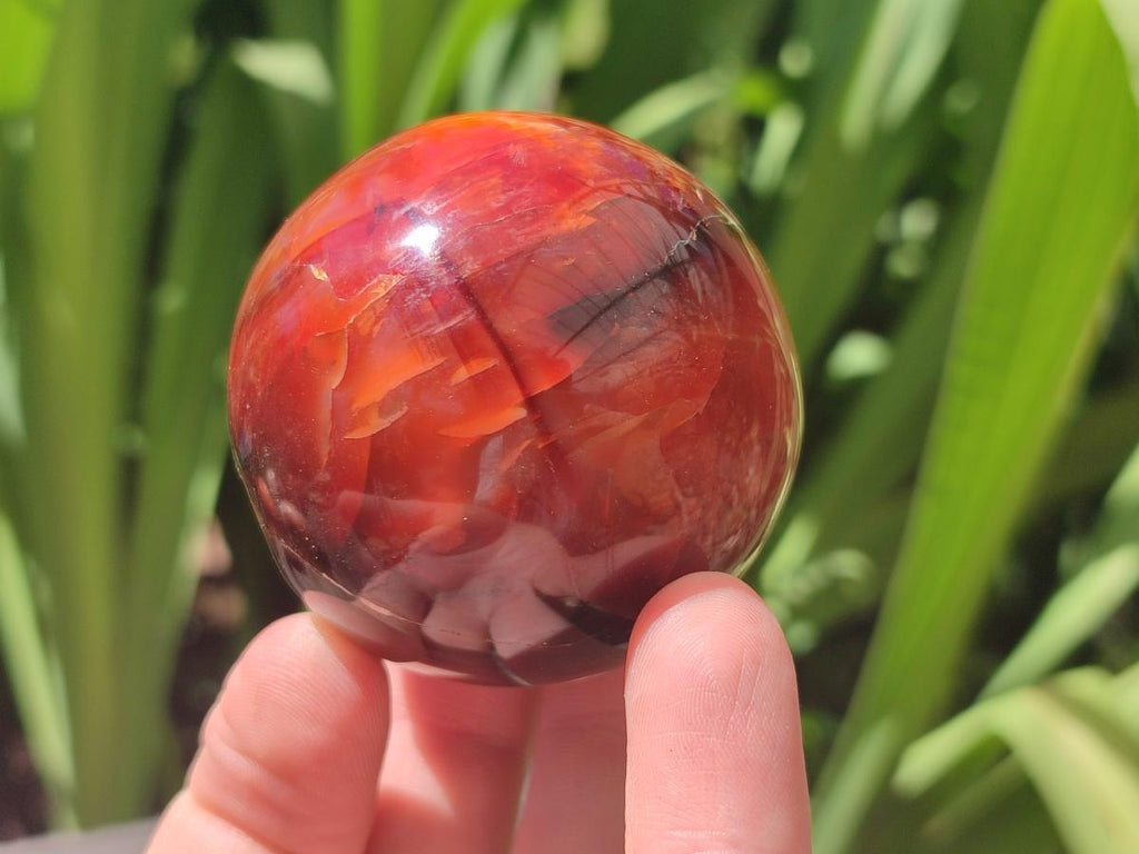 Polished Carnelian Agate Gemstone Spheres x 6 From Madagascar