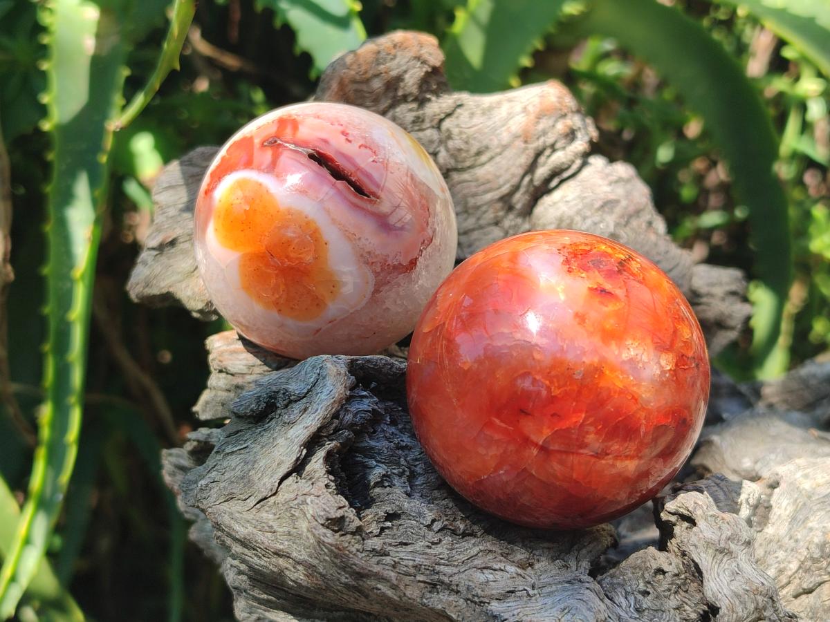 Polished Carnelian Agate Gemstone Spheres x 6 From Madagascar