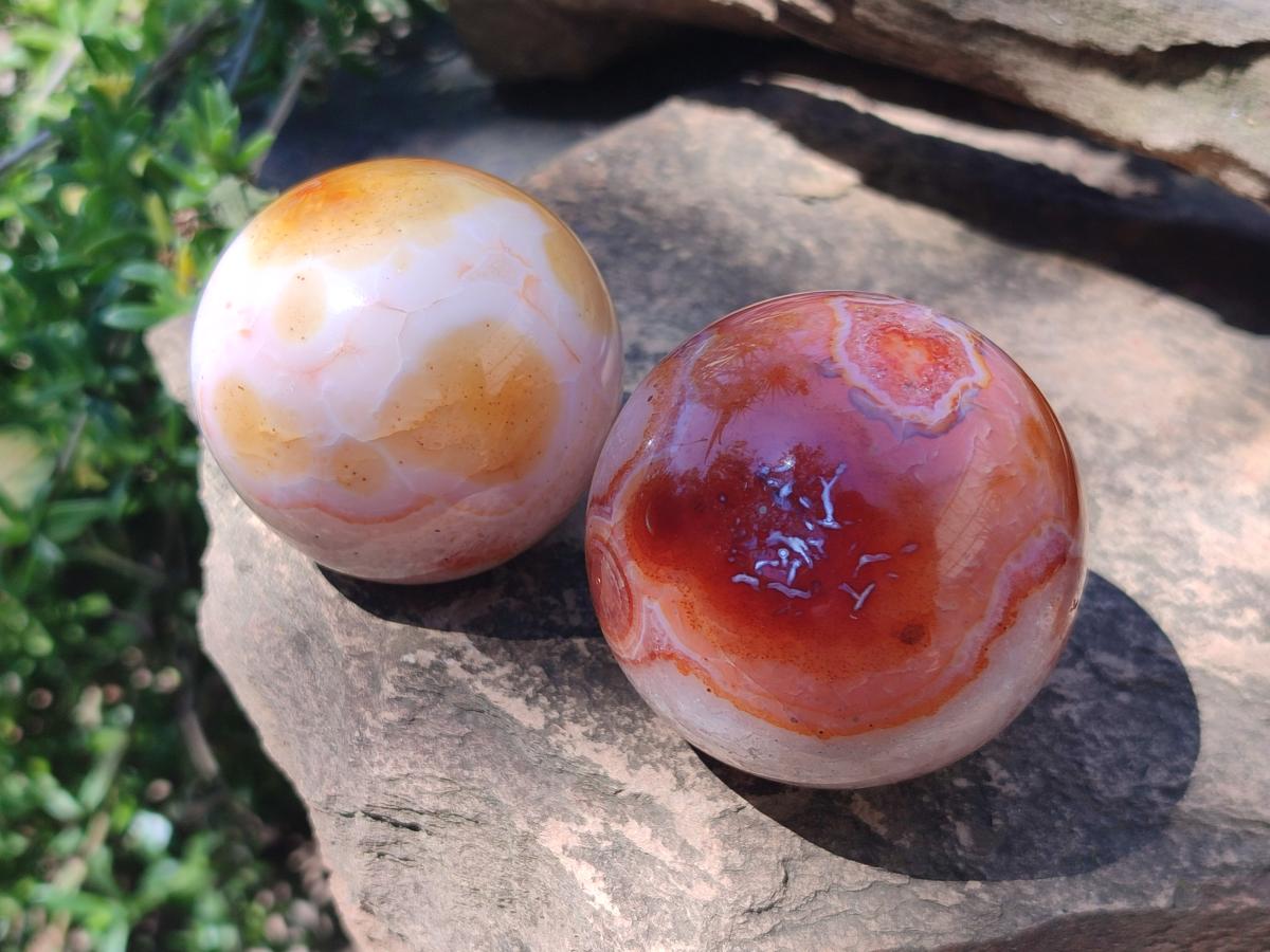 Polished Carnelian Agate Gemstone Spheres x 6 From Madagascar