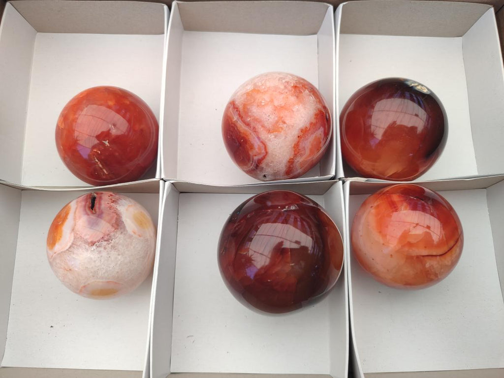 Polished Carnelian Agate Gemstone Spheres x 6 From Madagascar