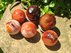 Polished Carnelian Agate Gemstone Spheres x 6 From Madagascar