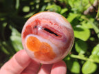 Polished Carnelian Agate Gemstone Spheres x 6 From Madagascar