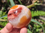Polished Carnelian Agate Gemstone Spheres x 6 From Madagascar