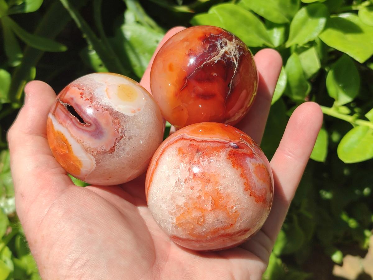 Polished Carnelian Agate Gemstone Spheres x 6 From Madagascar