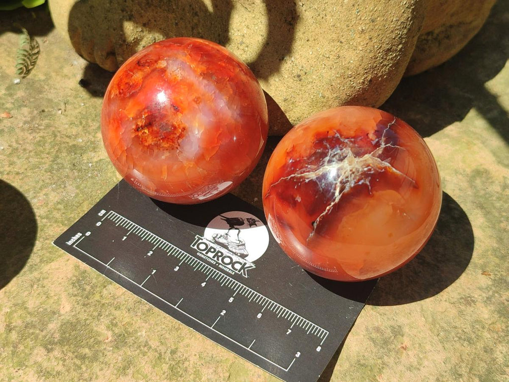 Polished Carnelian Agate Gemstone Spheres x 6 From Madagascar