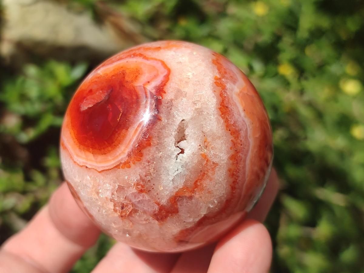 Polished Carnelian Agate Gemstone Spheres x 6 From Madagascar