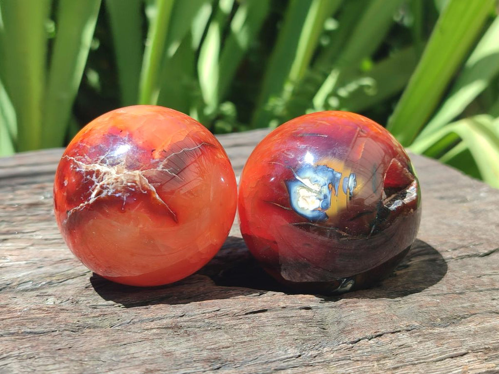 Polished Carnelian Agate Gemstone Spheres x 6 From Madagascar