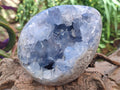 Polished Blue Celestite Eggs x 2 From Sakoany, Madagascar