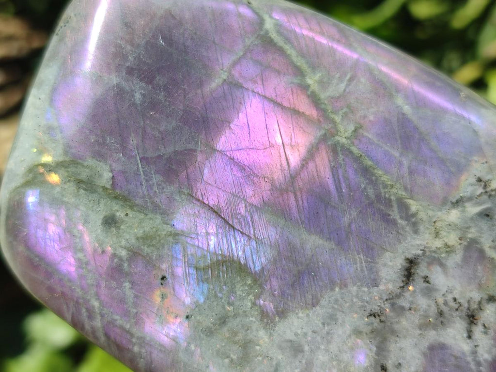 Polished Rare Purple Sunset Flash Labradorite Standing Free Forms x 2 From Madagascar