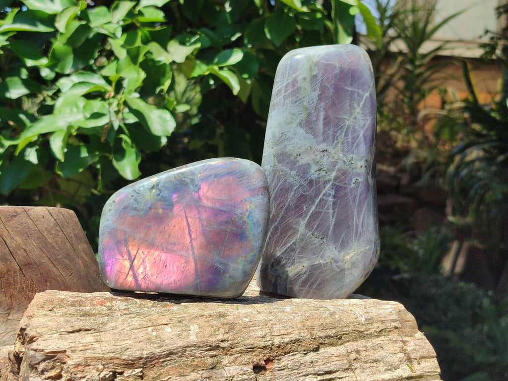 Polished Rare Purple Sunset Flash Labradorite Standing Free Forms x 2 From Madagascar