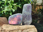 Polished Rare Purple Sunset Flash Labradorite Standing Free Forms x 2 From Madagascar