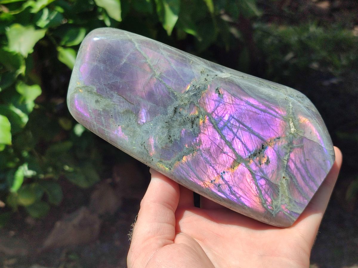 Polished Rare Purple Sunset Flash Labradorite Standing Free Forms x 2 From Madagascar