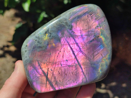 Polished Rare Purple Sunset Flash Labradorite Standing Free Forms x 2 From Madagascar