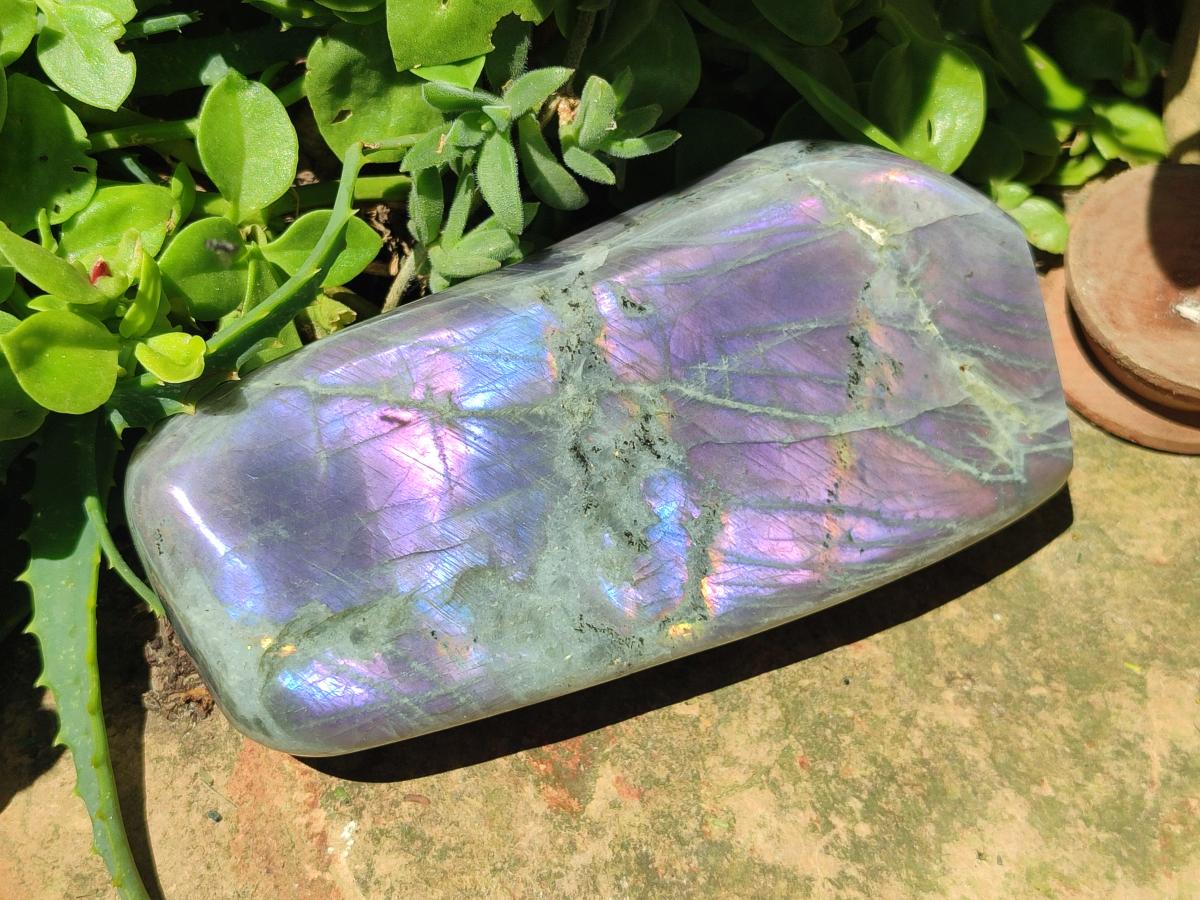 Polished Rare Purple Sunset Flash Labradorite Standing Free Forms x 2 From Madagascar