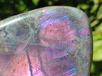 Polished Rare Purple Sunset Flash Labradorite Standing Free Forms x 2 From Madagascar