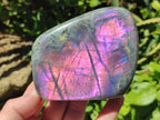 Polished Rare Purple Sunset Flash Labradorite Standing Free Forms x 2 From Madagascar
