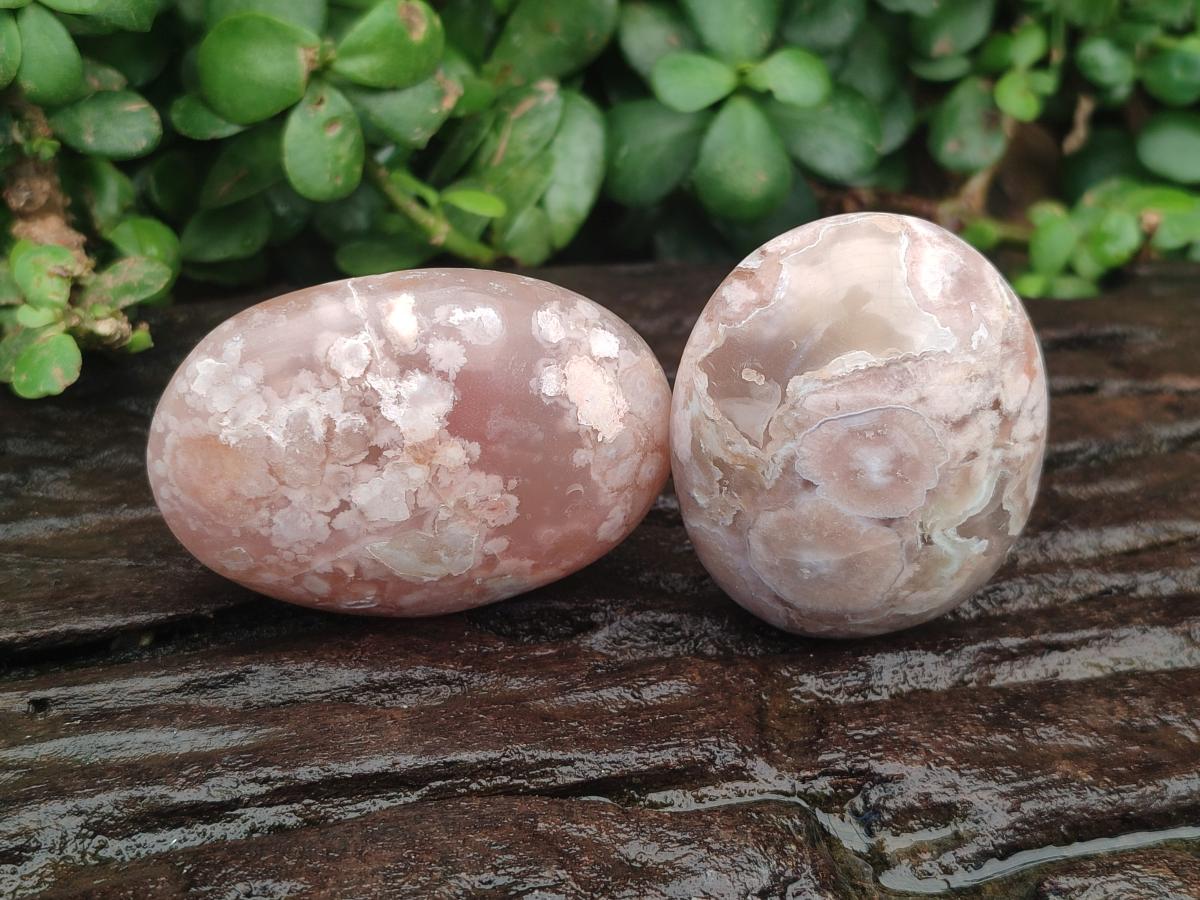 Polished Flower Agate Palm Stones x 12 From Antsahalova, Madagascar