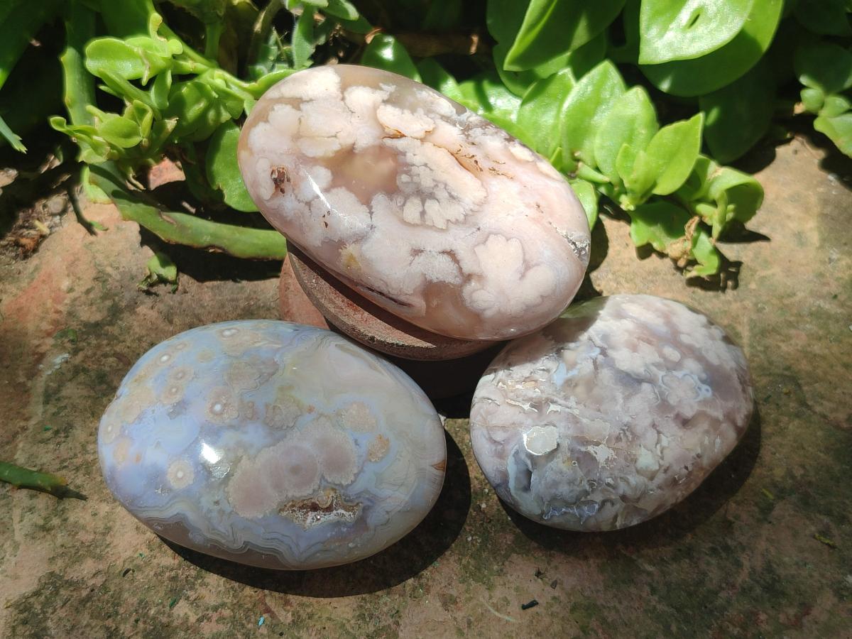 Polished Flower Agate Palm Stones x 12 From Antsahalova, Madagascar
