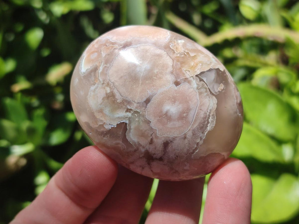 Polished Flower Agate Palm Stones x 12 From Antsahalova, Madagascar