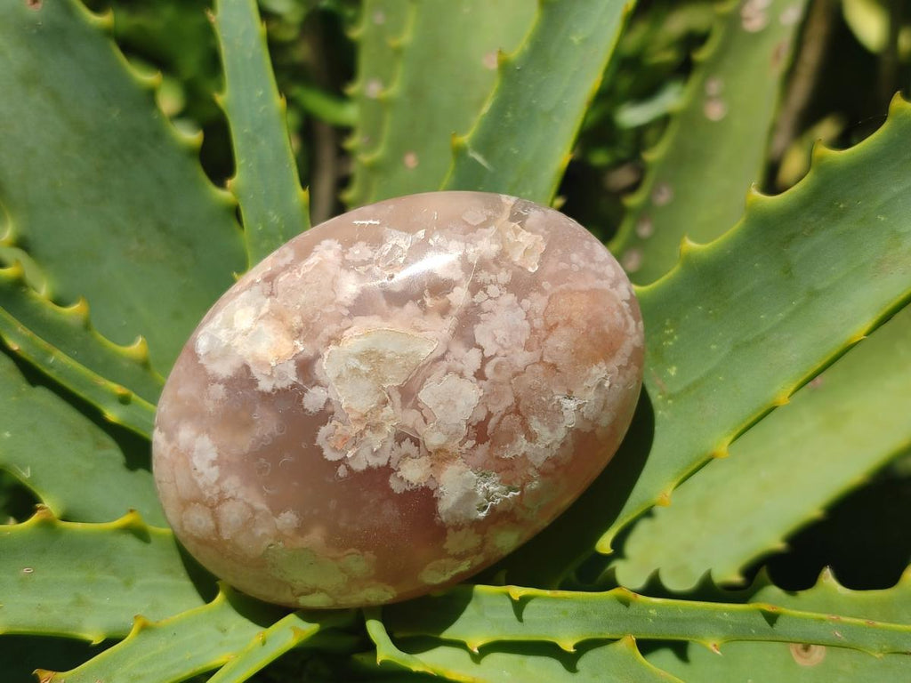 Polished Flower Agate Palm Stones x 12 From Antsahalova, Madagascar