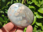 Polished Flower Agate Palm Stones x 12 From Antsahalova, Madagascar