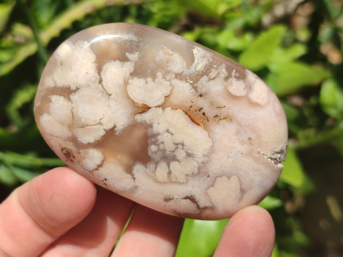 Polished Flower Agate Palm Stones x 12 From Antsahalova, Madagascar