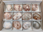 Polished Flower Agate Palm Stones x 12 From Antsahalova, Madagascar