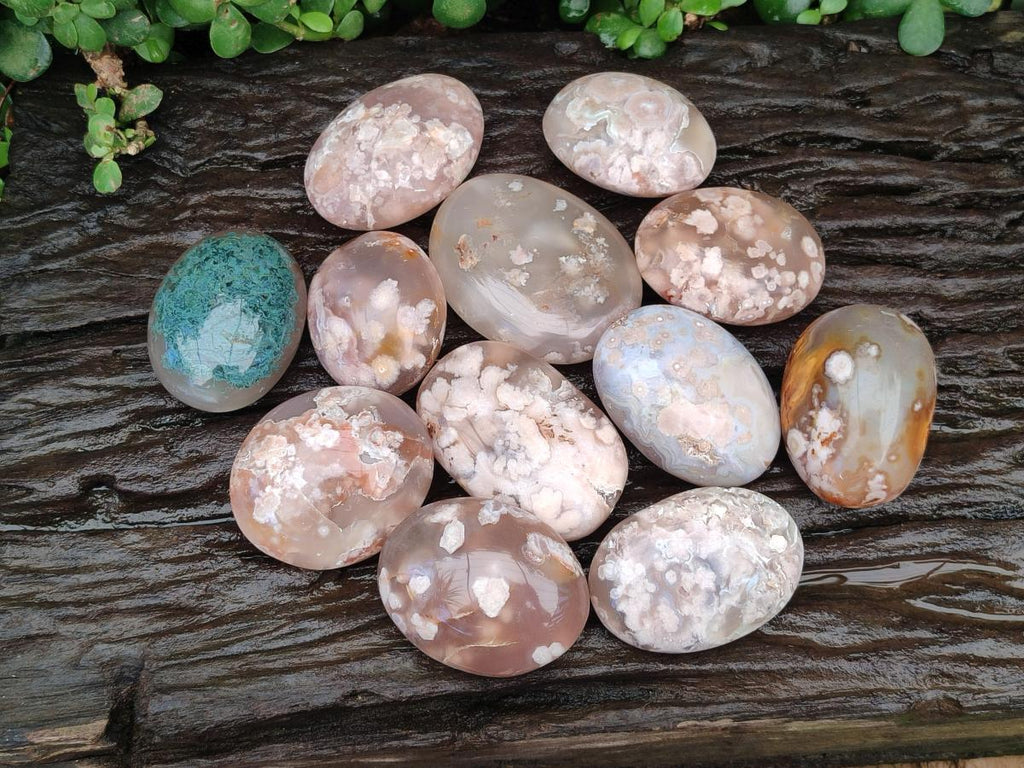 Polished Flower Agate Palm Stones x 12 From Antsahalova, Madagascar