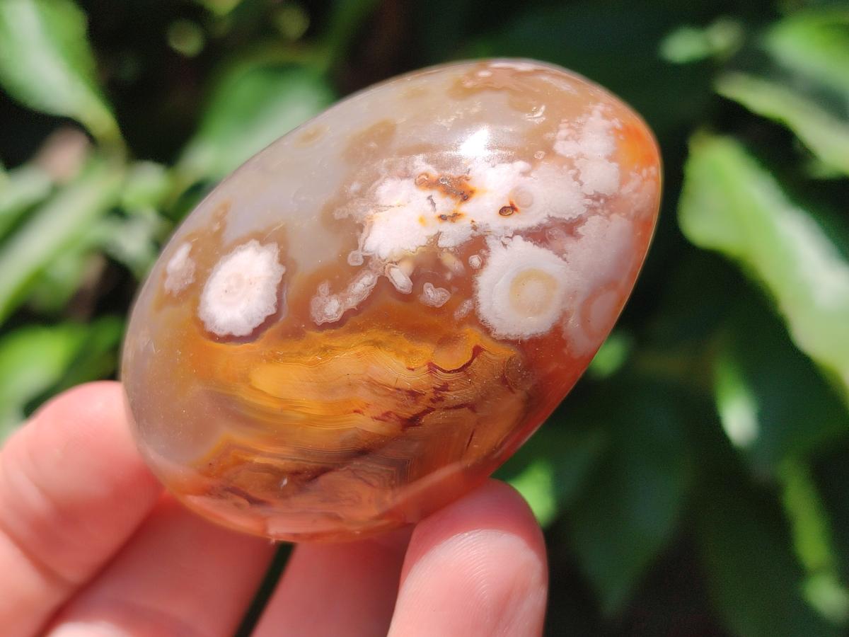 Polished Flower Agate Palm Stones x 12 From Antsahalova, Madagascar