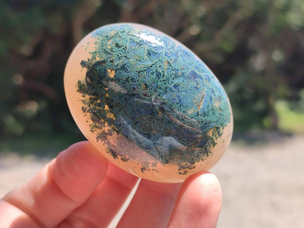 Polished Flower Agate Palm Stones x 12 From Antsahalova, Madagascar