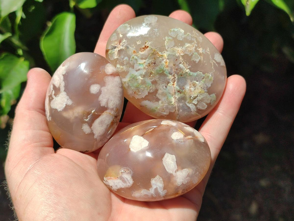 Polished Flower Agate Palm Stones x 12 From Antsahalova, Madagascar