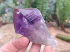 Natural Jacaranda Amethyst Single Crystals x 24 From Mumbwa, Zambia