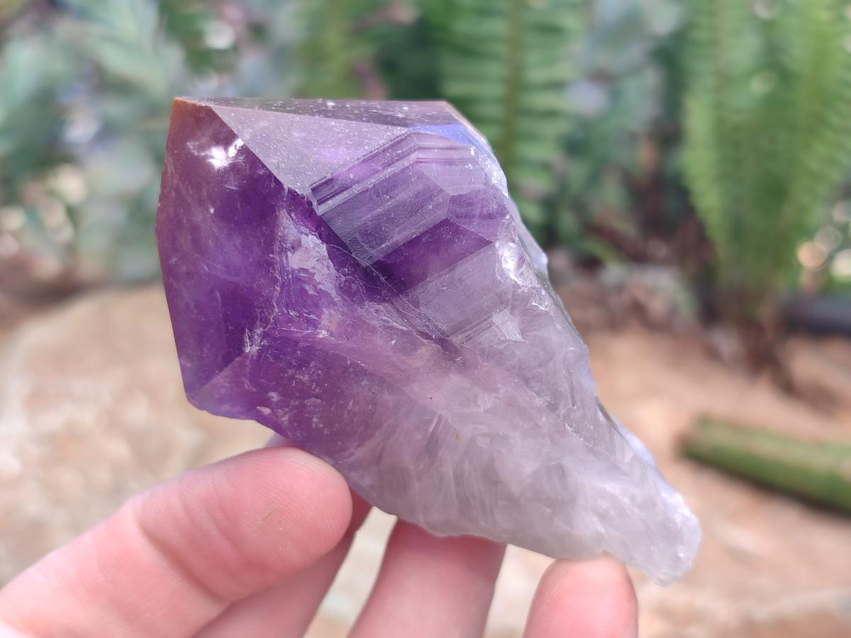 Natural Jacaranda Amethyst Single Crystals x 24 From Mumbwa, Zambia