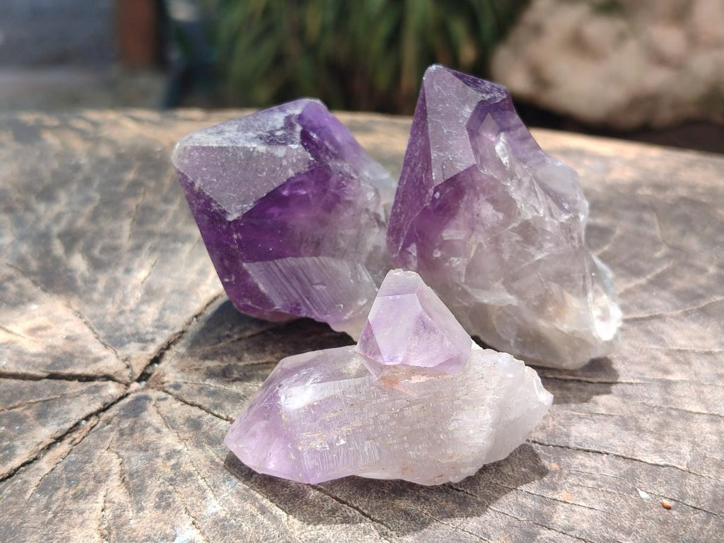 Natural Jacaranda Amethyst Single Crystals x 24 From Mumbwa, Zambia
