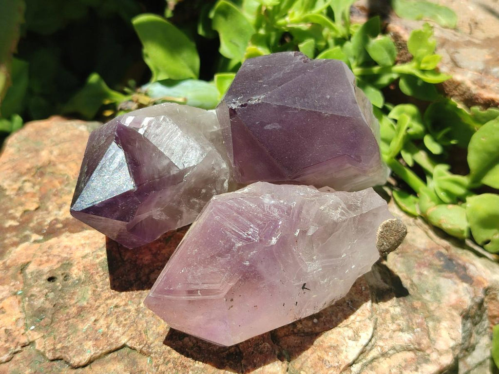Natural Jacaranda Amethyst Single Crystals x 24 From Mumbwa, Zambia