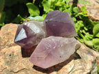 Natural Jacaranda Amethyst Single Crystals x 24 From Mumbwa, Zambia