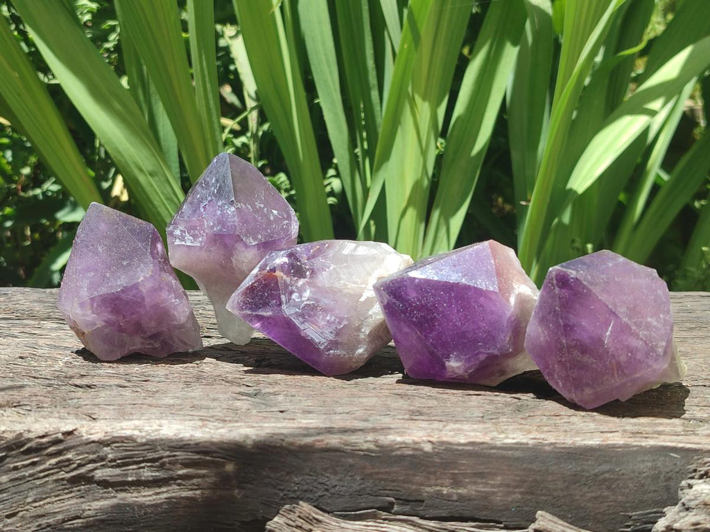 Natural Jacaranda Amethyst Single Crystals x 24 From Mumbwa, Zambia