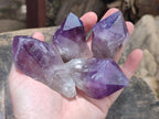 Natural Jacaranda Amethyst Single Crystals x 24 From Mumbwa, Zambia