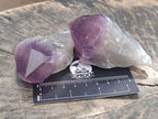 Natural Jacaranda Amethyst Single Crystals x 24 From Mumbwa, Zambia