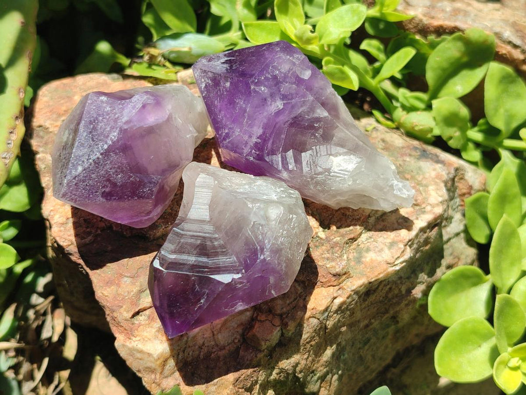 Natural Jacaranda Amethyst Single Crystals x 24 From Mumbwa, Zambia